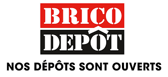 brico_depot_logo